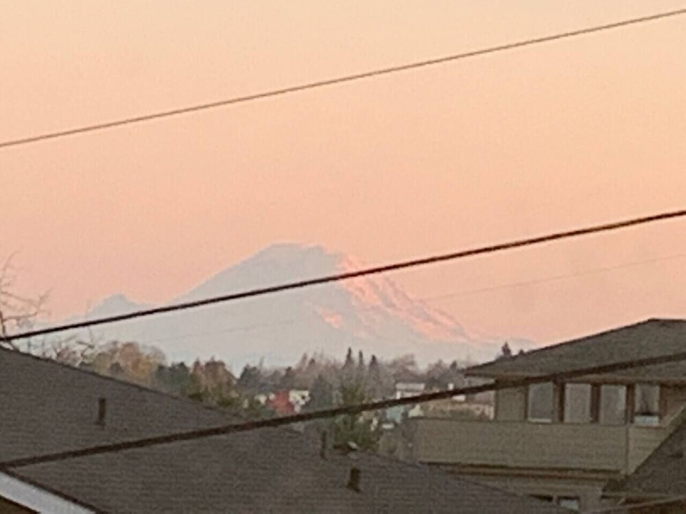 Arboretum View Magnolia - photo 35