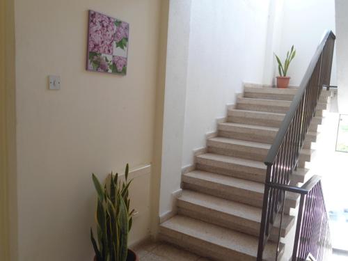 Terpsithea Apartments