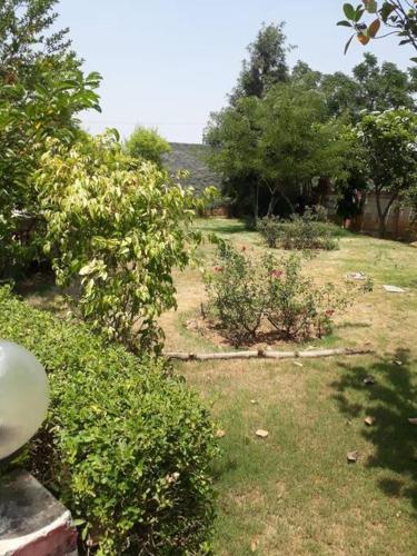 Achal farm