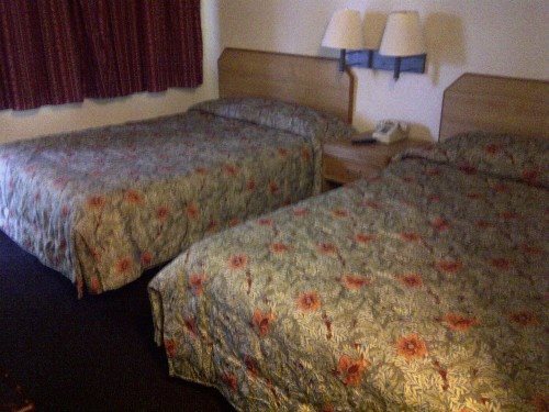 California Inn - photo 2