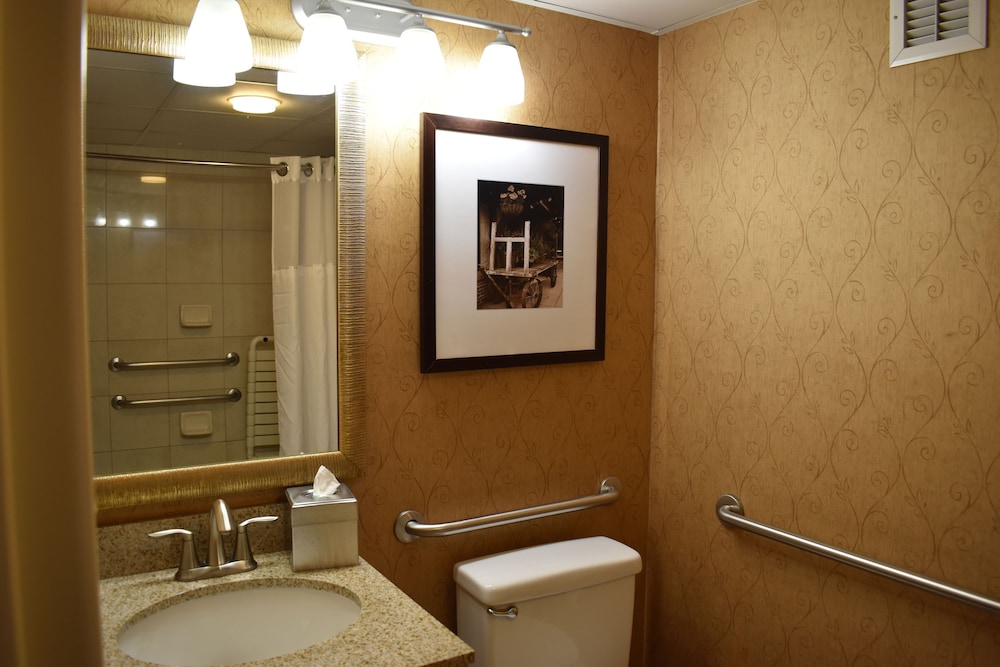 DoubleTree by Hilton Asheville Biltmore - photo 51