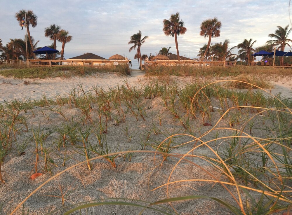 Surf Studio Beach Resort - photo 89