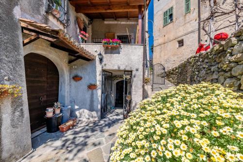 Tipica casa antica ligure Ca’ del Ciliegio — Calice Ligure — photo 5