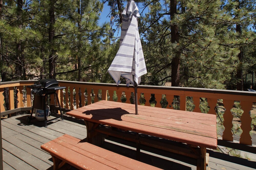 Smokey Bear's Den - photo 6