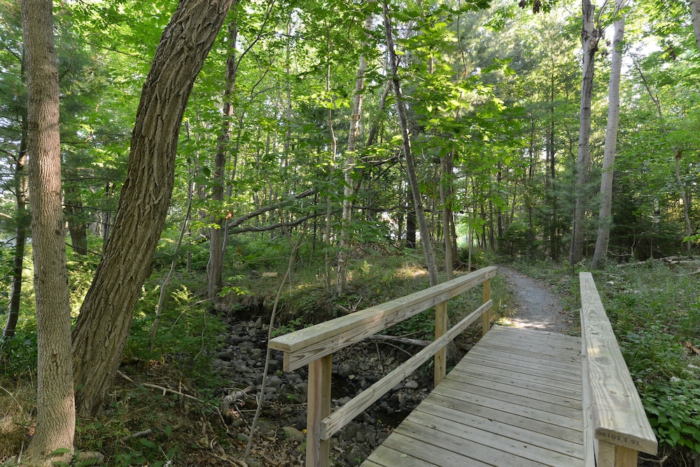 Acadia Inn - photo 33