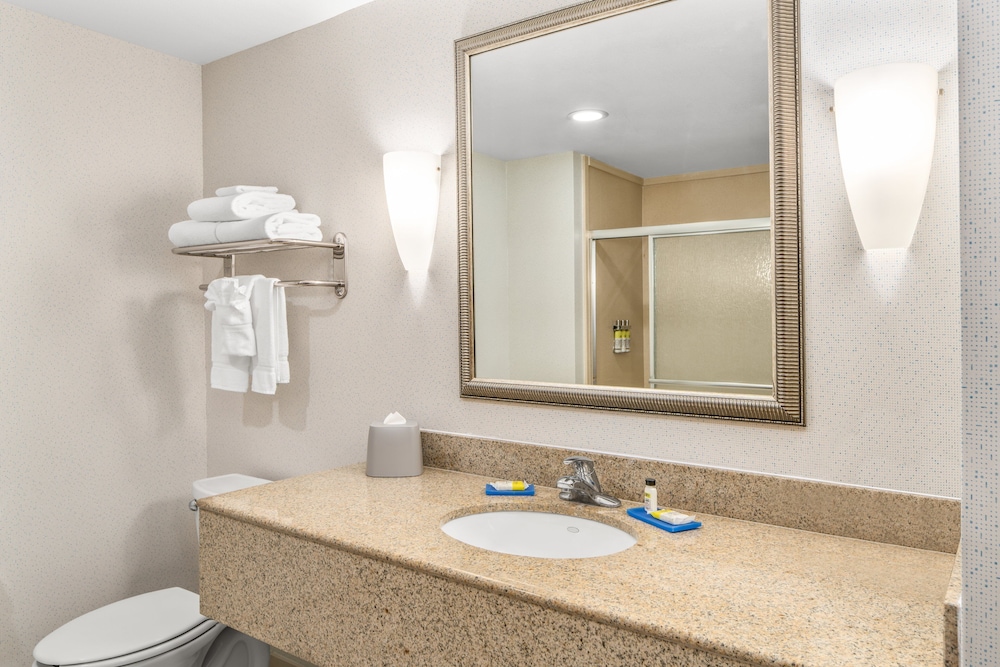 Holiday Inn Express & Suites Wilmington Newark by IHG - photo 29