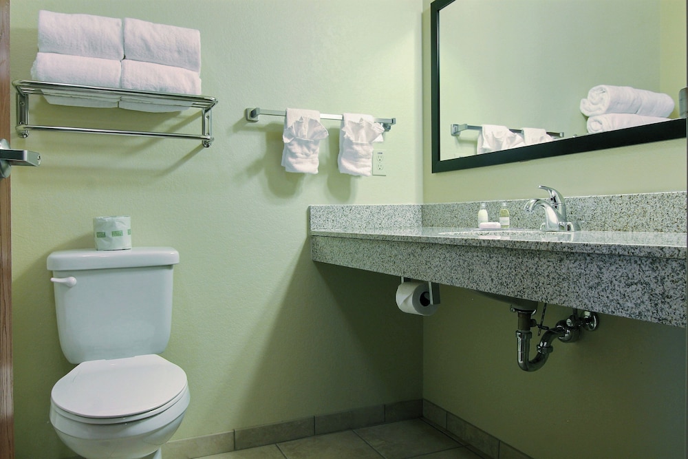 Cobblestone Inn & Suites Linton - photo 22