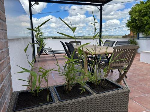 Sabores Alem Tejo 38 — hotel in Montargil