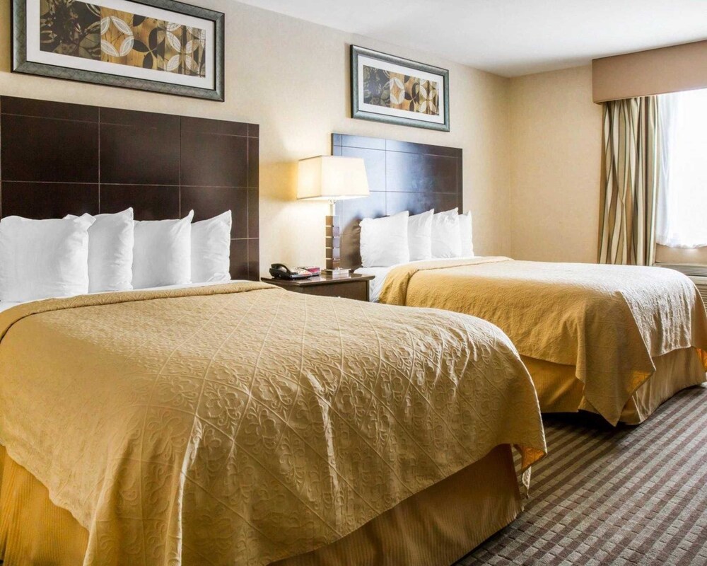 Quality Inn Woodside - photo 11