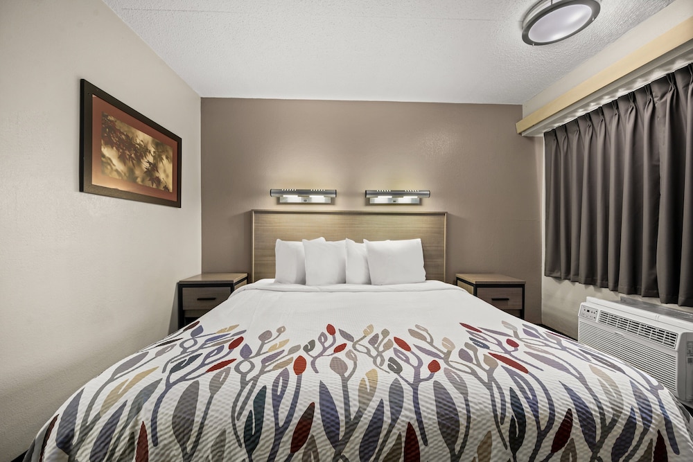 Red Roof Inn Detroit Royal Oak Madison Heights - photo 5