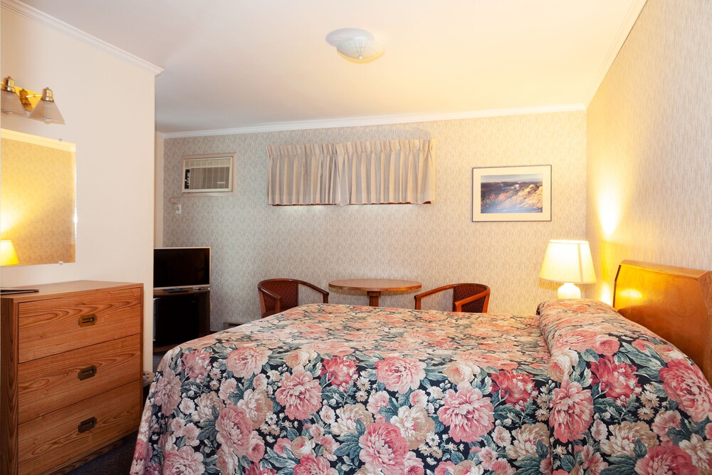 Town & Country Motor Inn - photo 8