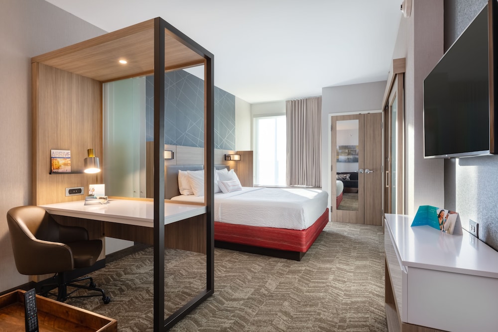 SpringHill Suites by Marriott Chattanooga South Ringgold GA - photo 12