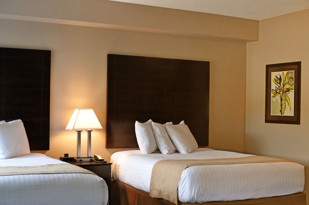 Qube Hotel - photo 16