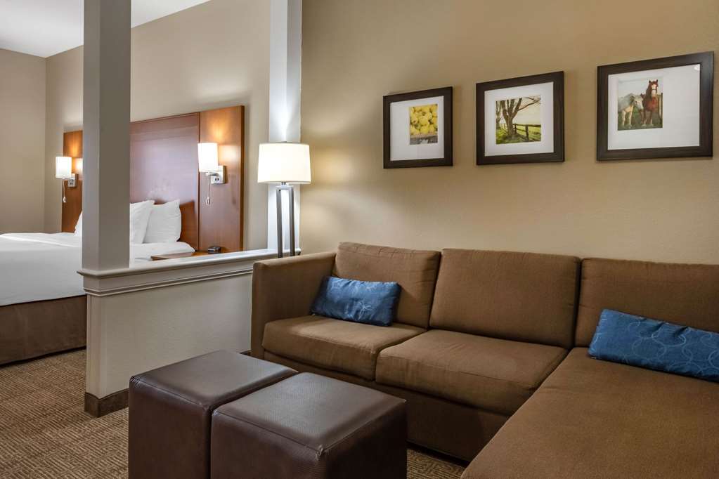 Comfort Suites Hotel and Conference Center - photo 22