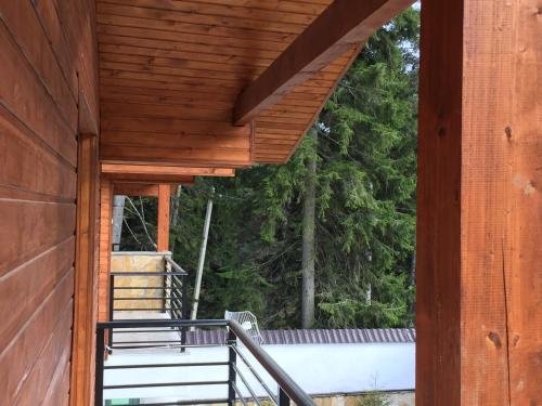 Kokhta in Bakuriani, Georgia