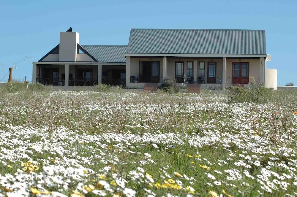 Indulgenza Art Studio in Saldanha, South Africa