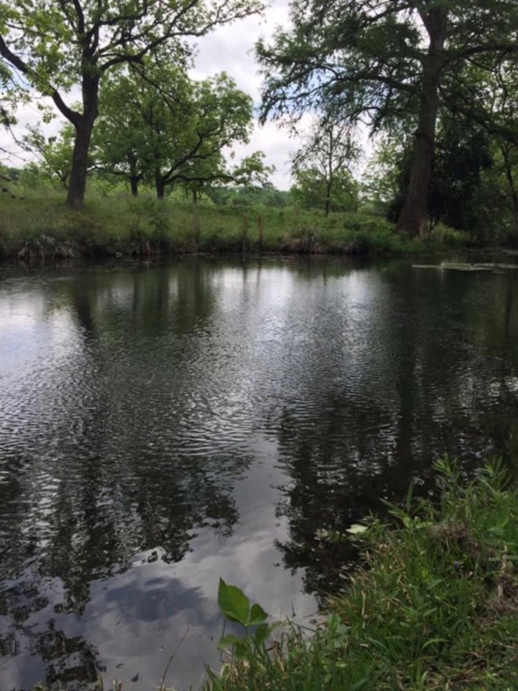 Frio Springs Lodges - photo 43