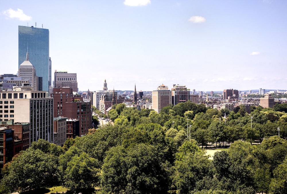 The Ritz Carlton Boston - photo 66