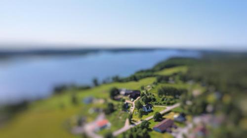 Havsörn in Unknown City, Sweden