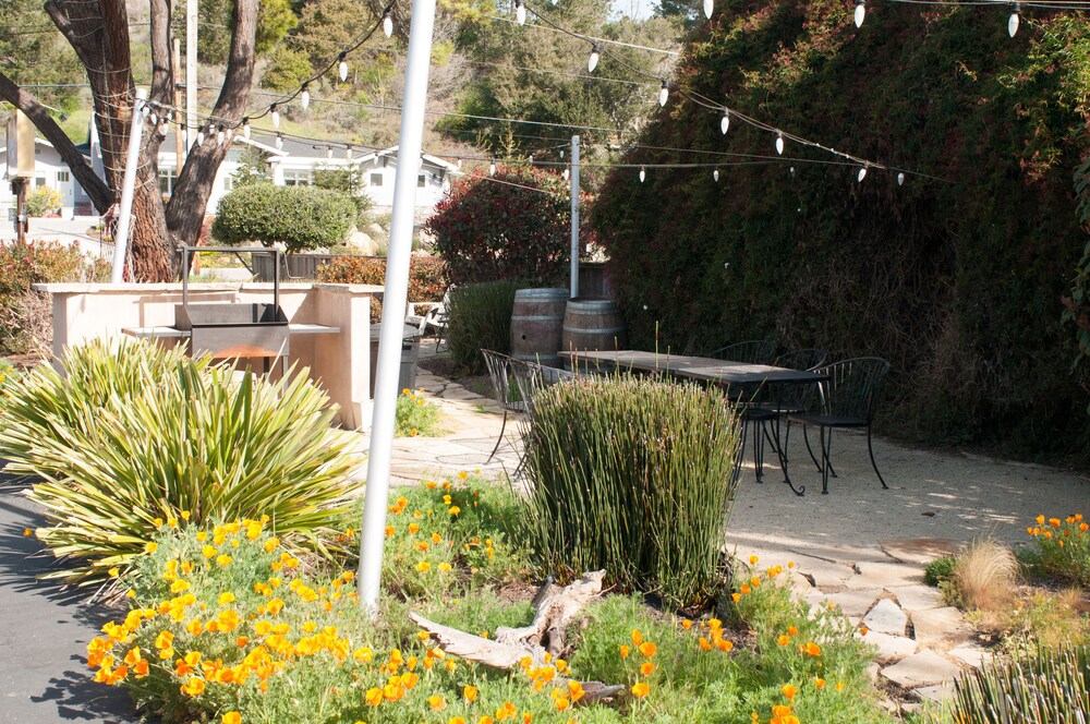 Cambria Palms Motel - photo 20