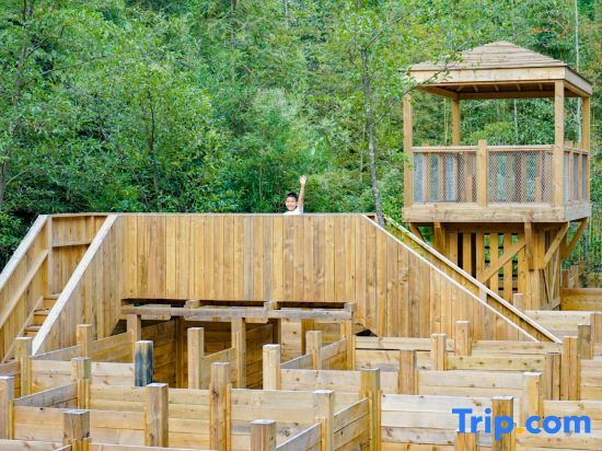 Ziyoujia Tree house World — 5-Star Luxury Hotel in Huangshan, People's Republic of China