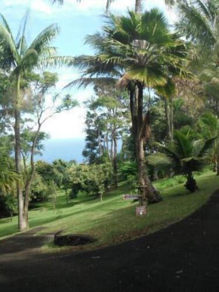 Hale Kukui Orchard & Cottages - photo 52