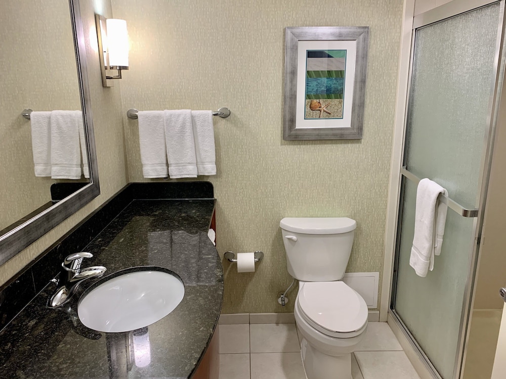 Holiday Inn & Suites Virginia Beach North Beach by IHG - photo 39