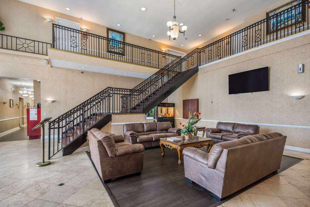 Clarion Inn & Suites Central Clearwater Beach - photo 7