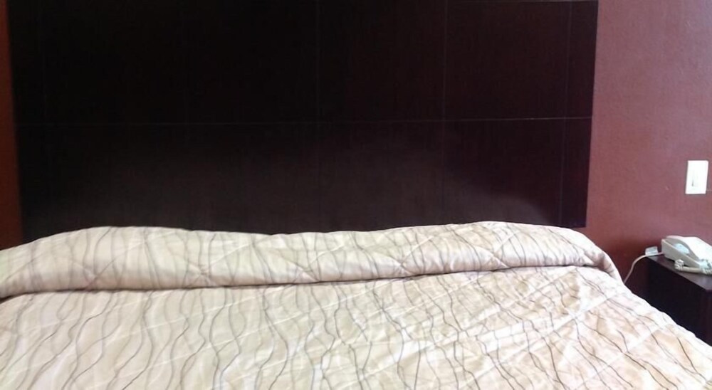 Palace Inn Fairbanks - photo 10