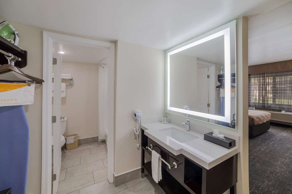 Quality Inn & Suites Goodyear Phoenix West - photo 7