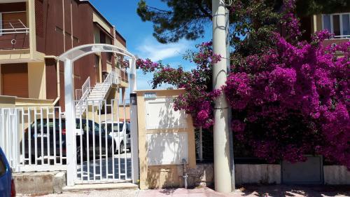 La villetta vista mare — Bisceglie — photo 2