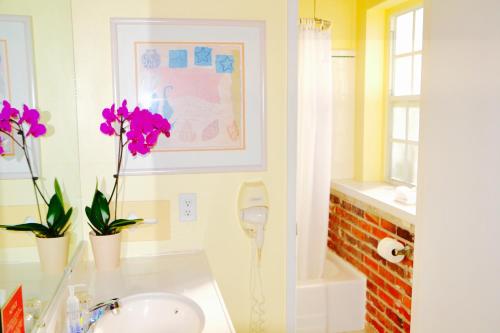 Sea Turtle Inn - photo 39