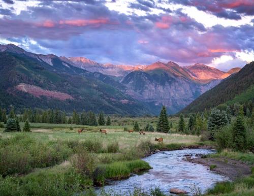 Telluride Ski Resort CO Viking Lodge Condos - photo 28