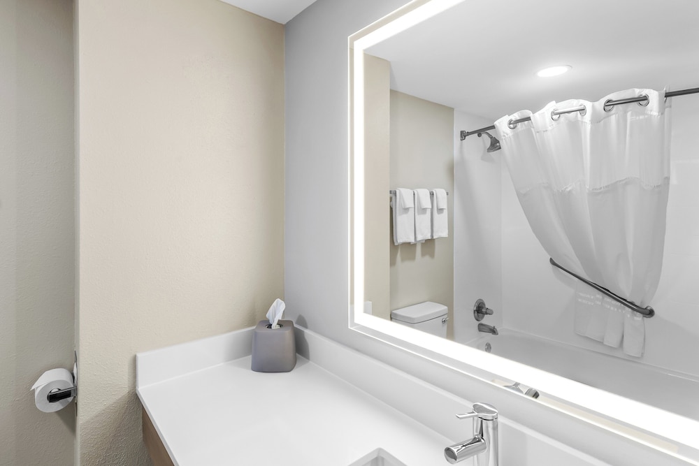 Holiday Inn Express Suites Charleston by IHG - photo 42