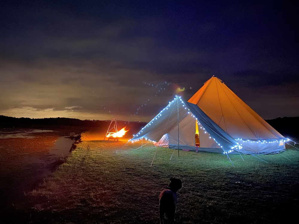 Tumbling Tom Double and Two Singles in Worcester, United Kingdom