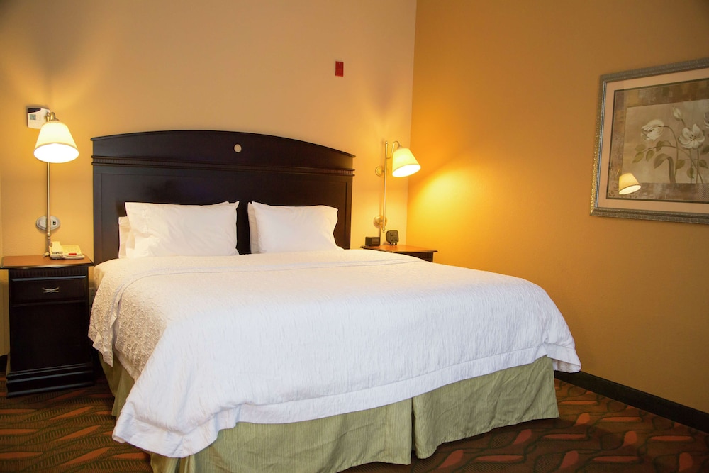 Hampton Inn & Suites Houston Rosenberg - photo 18