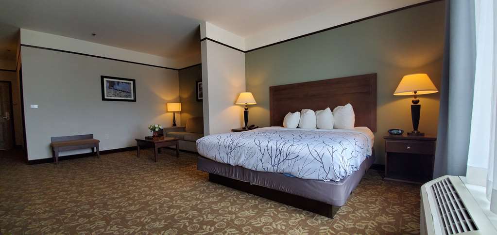 Best Western Plus Emory At Lake Fork Inn & Suites - photo 9