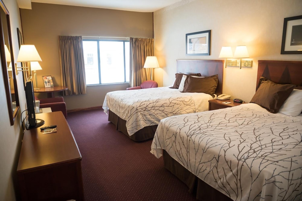 Mineral Palace Hotel & Casino - photo 8