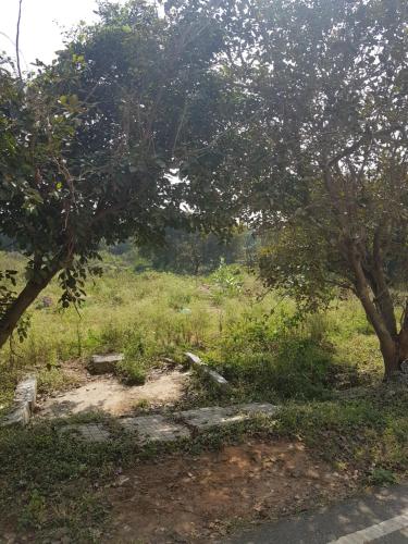 Anuraag — Bengaluru — photo 4