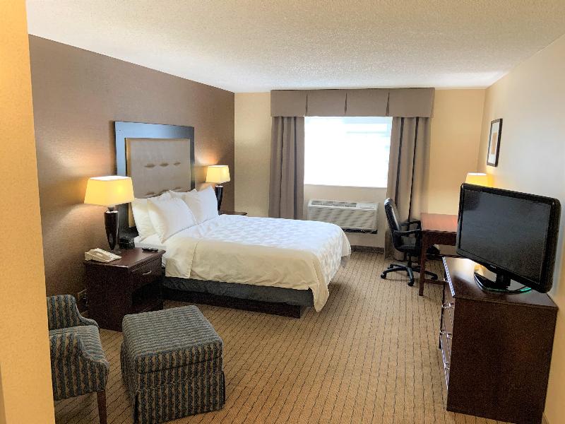 Holiday Inn & Suites Chicago Carol Stream by IHG - photo 65