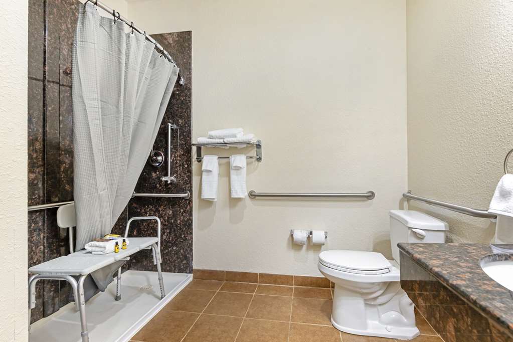 Best Western Plus Greenville South - photo 30