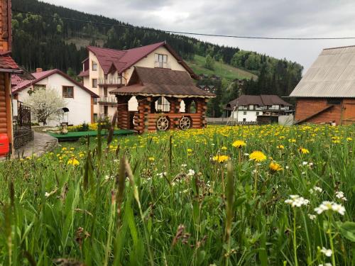 Sadyba u Halyny - carbon neutral hotel in Vorokhta