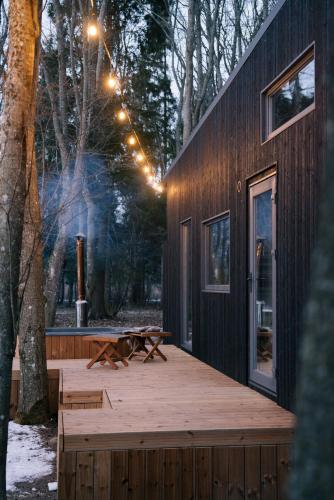 Living art piece at the lake. in Unknown City, Lithuania