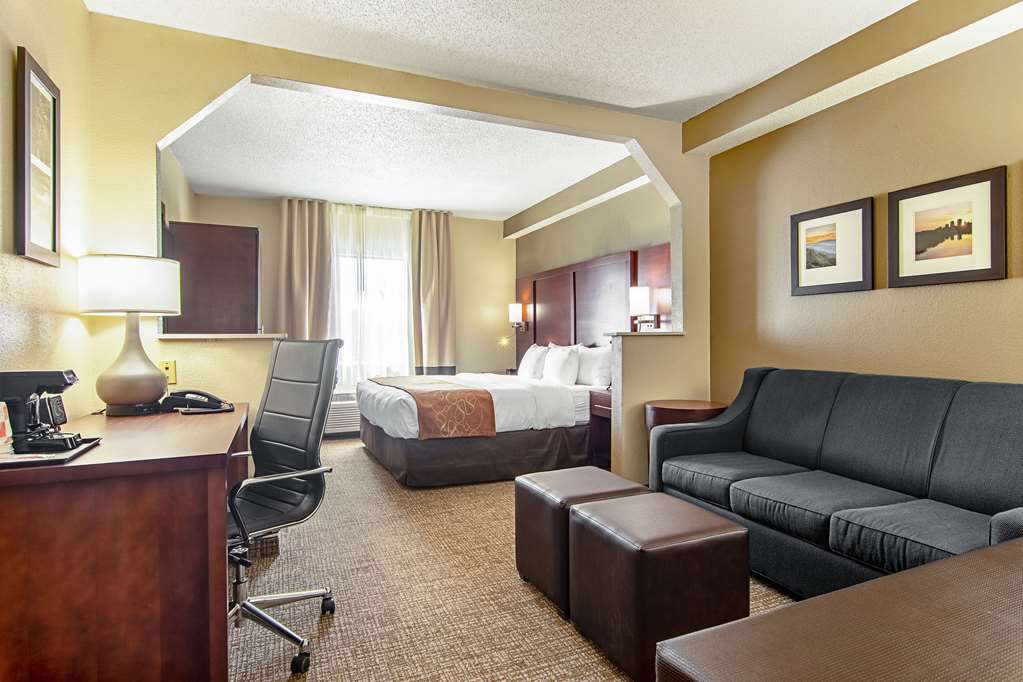 Comfort Suites Knoxville Airport - photo 13