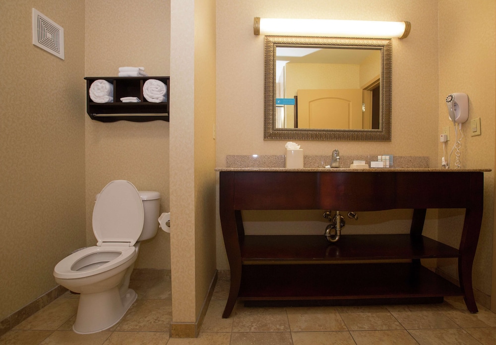 Hampton Inn & Suites Houston Rosenberg - photo 46