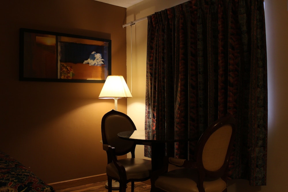American Inn & Suites - photo 21