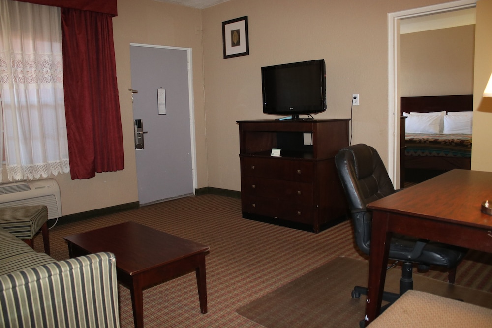 The Classic Desert Aire Hotel - photo 14
