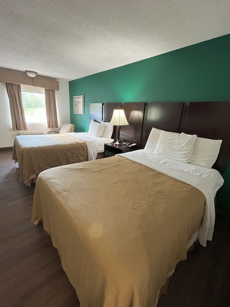 Pine Tree Inn - photo 25