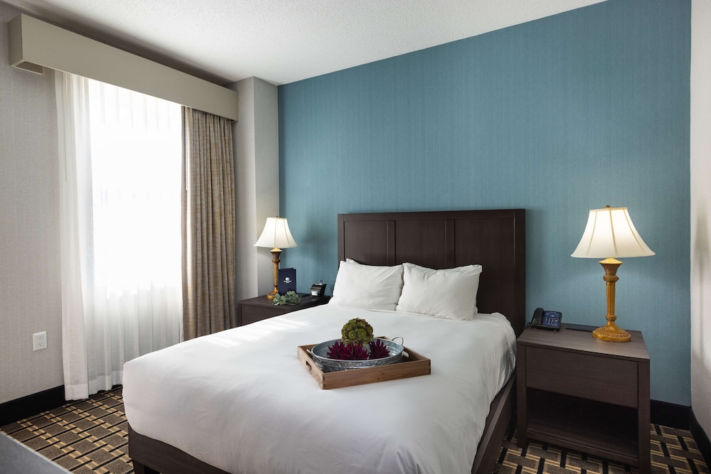 Inn at the Colonnade Baltimore A DoubleTree by Hilton Hotel - photo 28