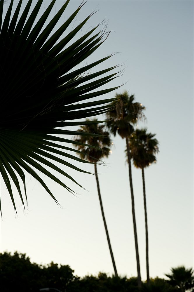 San Jose Airport Inn - photo 6
